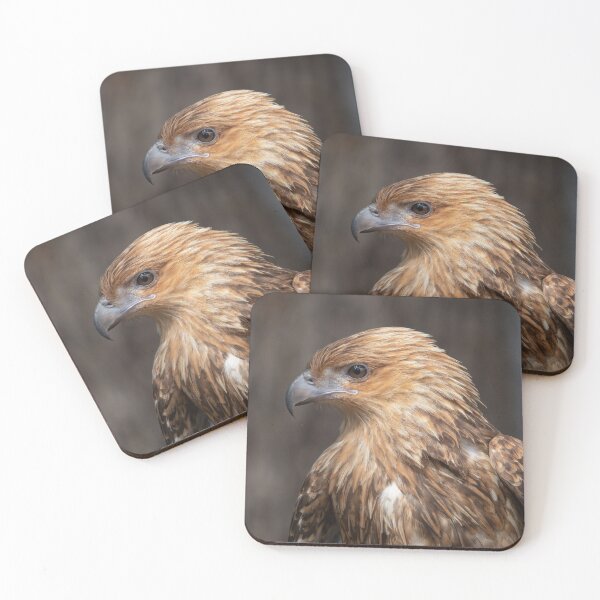 Item preview, Side profile of Whistling Kite designed and sold by Peter Caddy.