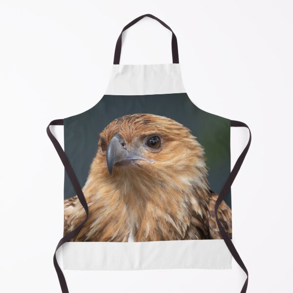 Item preview, Portrait Of a Whistling Kite designed and sold by Peter Caddy.