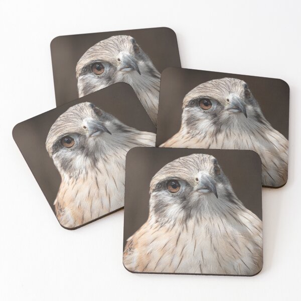 Item preview, Portrait of a Brown Falcon designed and sold by Peter Caddy.