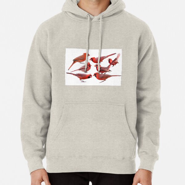 Seven Red Birds A Chirping Pullover Hoodie
