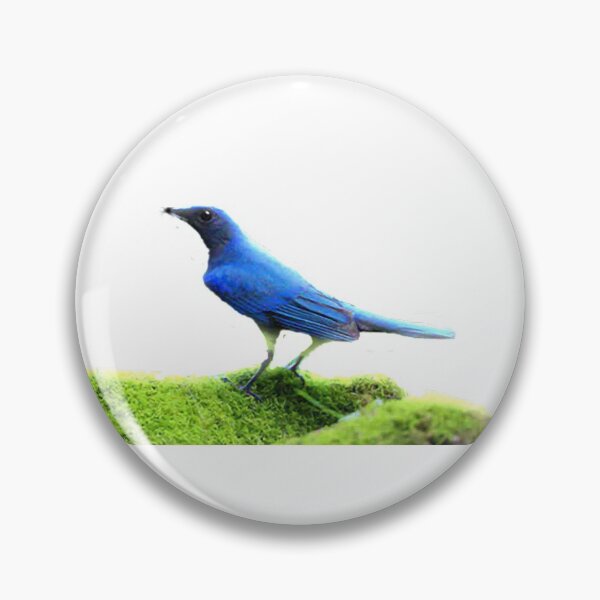 Item preview, The white-bellied blue flycatcher is called different places. It is commonly called Liuli Bird, Hong Kong is called Blue Yan, and Taiwan is called White-bellied Liuli. designed and sold by zenger2021.