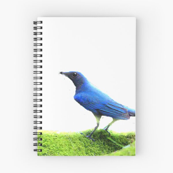 Item preview, The white-bellied blue flycatcher is called different places. It is commonly called Liuli Bird, Hong Kong is called Blue Yan, and Taiwan is called White-bellied Liuli. designed and sold by zenger2021.