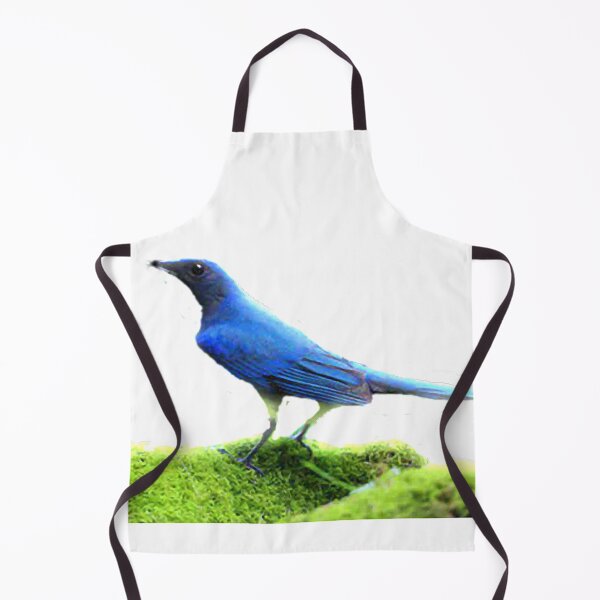 Item preview, The white-bellied blue flycatcher is called different places. It is commonly called Liuli Bird, Hong Kong is called Blue Yan, and Taiwan is called White-bellied Liuli. designed and sold by zenger2021.