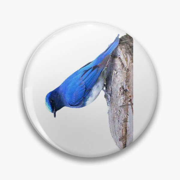 Item preview, White-bellied blue flycatcher: cobalt blue or cobalt blue on the top of the male bird's head designed and sold by zenger2021.