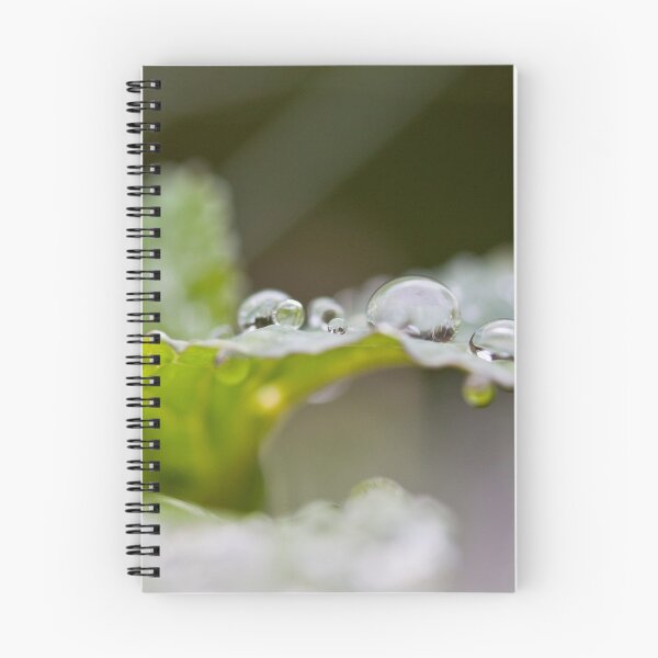 Artikelvorschau, Wasserbälle entworfen und verkauft von Richard Keech.