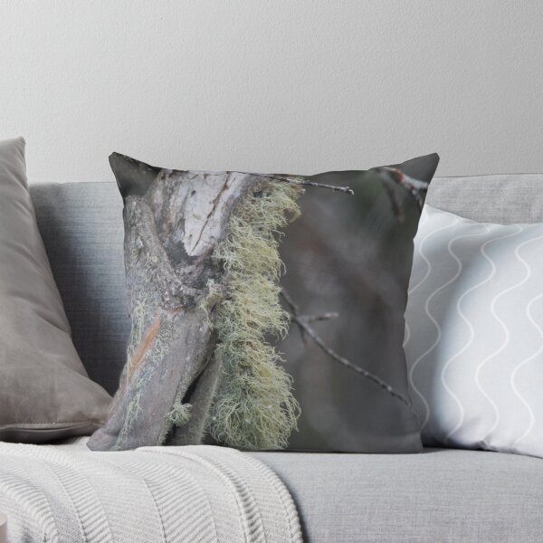 Item preview, A little Moss. designed and sold by Lorraine McCarthy.