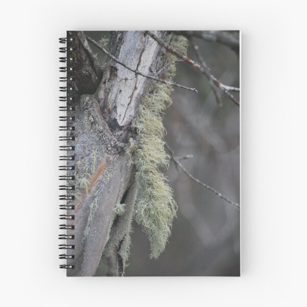 Item preview, A little Moss. designed and sold by Lorraine McCarthy.
