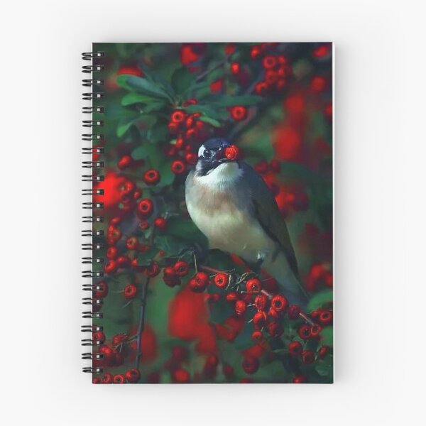 Item preview, White-headed Bulbul (scientific name: Pycnonotus sinensis, British name: Light-vented Bulbul or Chinese bulbul), also known as Pulsatilla, White-headed shell designed and sold by zenger2021.
