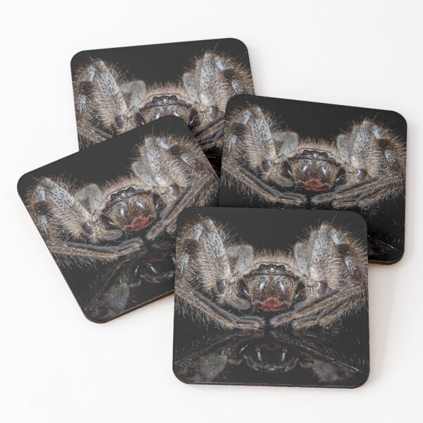 Item preview, Huntsman Spider designed and sold by OzPhotography.