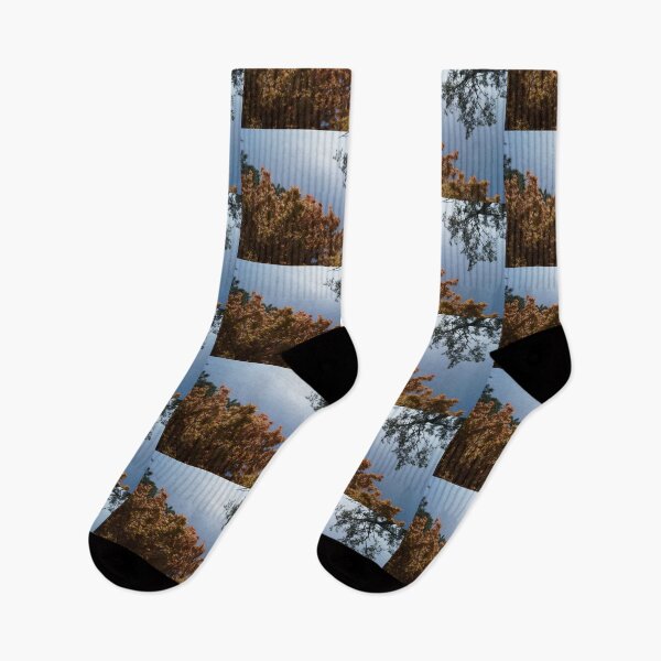 Item preview, Autumn maple leaves designed and sold by jannelserrano.
