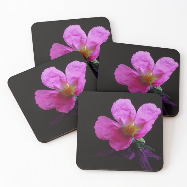 Item preview, Flower Reflection designed and sold by OzPhotography.