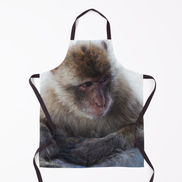 Item preview, Young Gibraltar Macaque designed and sold by Marc Garrido Clotet.