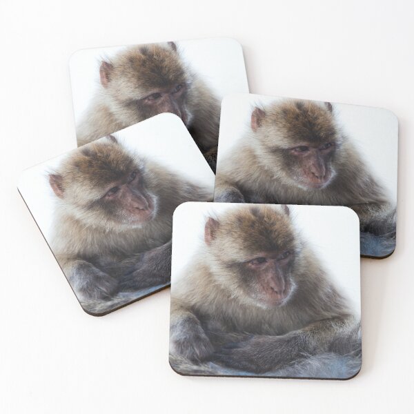 Item preview, Young Gibraltar Macaque designed and sold by Marc Garrido Clotet.