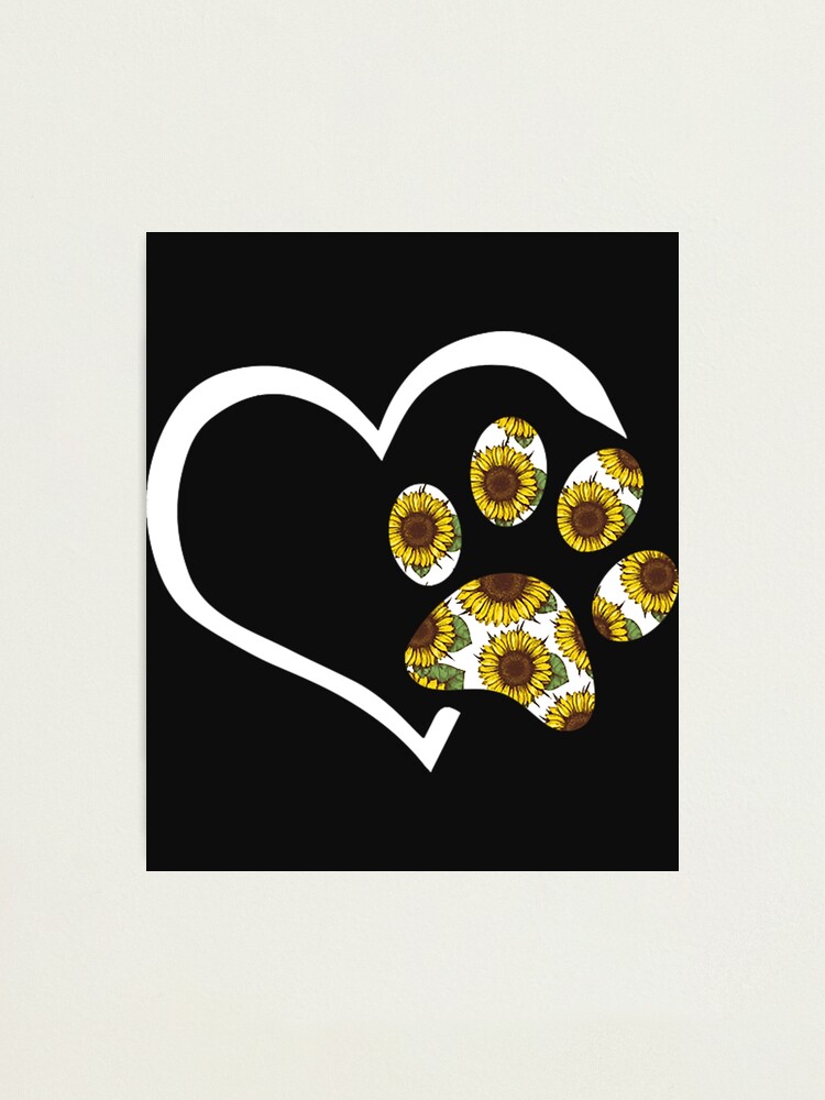 Pawz sunflower shirt best sale