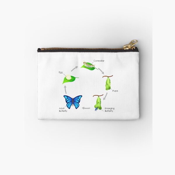 Item preview, Life Cycle of a Butterfly designed and sold by charmaine pettigrew.