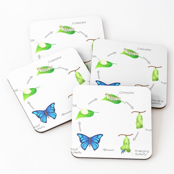 Item preview, Life Cycle of a Butterfly designed and sold by charmaine pettigrew.