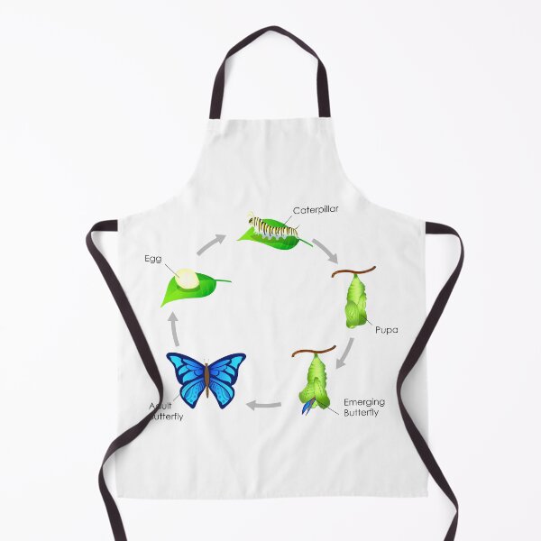 Item preview, Life Cycle of a Butterfly designed and sold by charmaine pettigrew.
