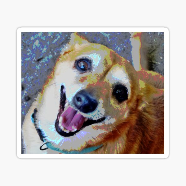 Cosmo Sticker