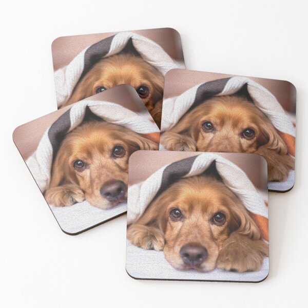 Item preview, Cute dog hiding under a bedsheet designed and sold by ManiRanganaath.