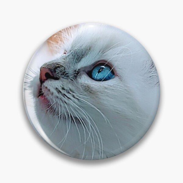 Item preview, Lynx ragdoll kitten designed and sold by Fluffycat2020.