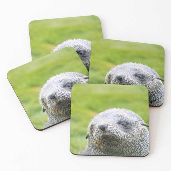 Item preview, Fur seal pup gaze designed and sold by thewildandice.