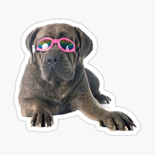 Item preview, Hund trägt eine Sonnenbrille designed and sold by November17th.