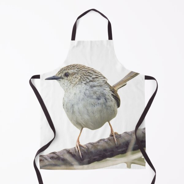 Item preview, Striped wren warbler (scientific name: Prinia polychroa): 17-19 cm in length, is a slightly larger dark brown wren with a long tail designed and sold by zenger2021.