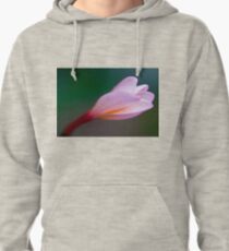 Pretty in pink Pullover Hoodie