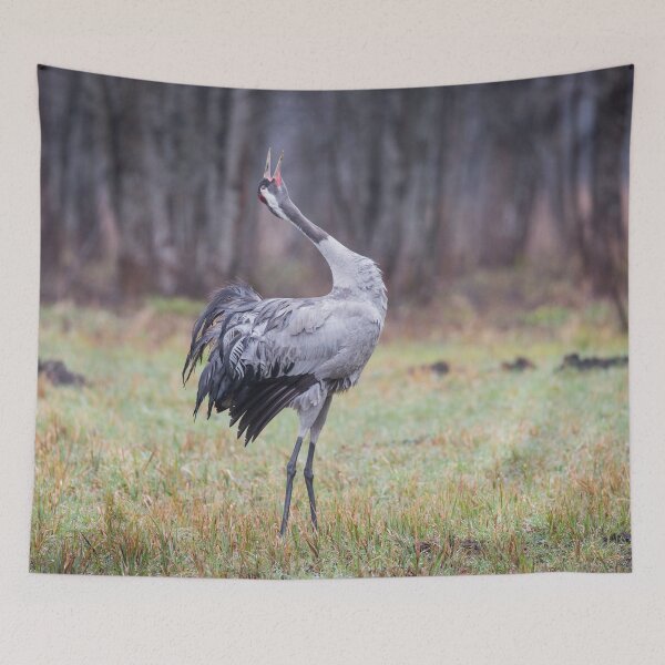 Item preview, Trumpeting call designed and sold by Dominika Aniola.