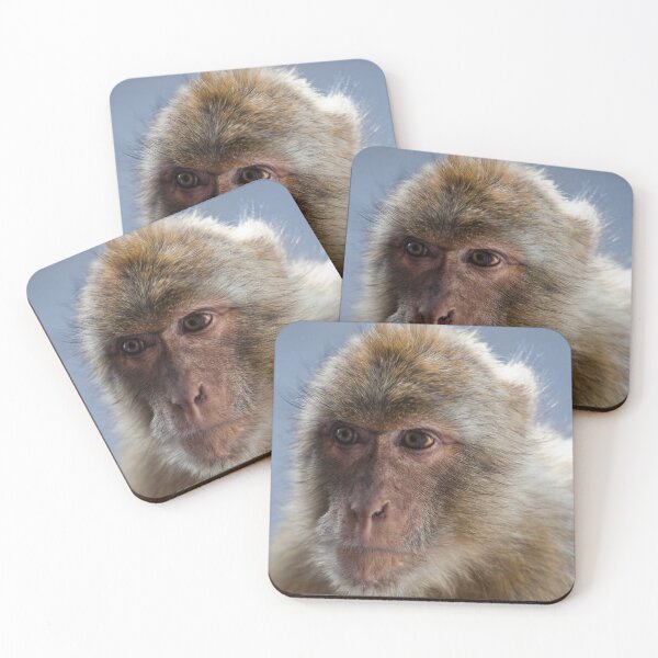 Item preview, Gibraltar Macaque Portrait designed and sold by Marc Garrido Clotet.