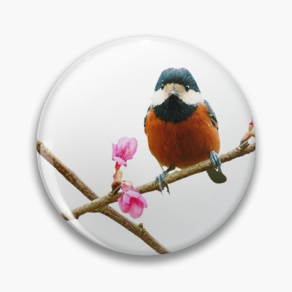 Item preview, The red-bellied tit (scientific name: Sittiparus varius) is an animal of the genus Chickadee. It weighs 17-18 grams and has a body length of 125-140 mm designed and sold by zenger2021.