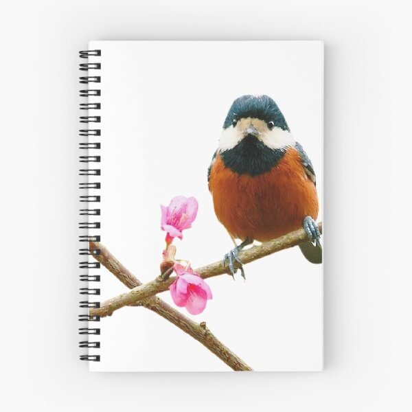 Item preview, The red-bellied tit (scientific name: Sittiparus varius) is an animal of the genus Chickadee. It weighs 17-18 grams and has a body length of 125-140 mm designed and sold by zenger2021.