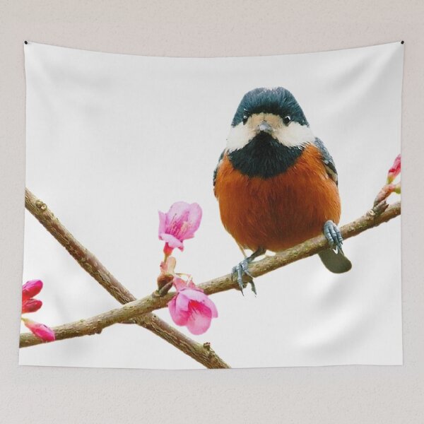 Item preview, The red-bellied tit (scientific name: Sittiparus varius) is an animal of the genus Chickadee. It weighs 17-18 grams and has a body length of 125-140 mm designed and sold by zenger2021.