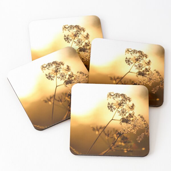 Item preview, Cow Parsley at Sunset designed and sold by cuprum.