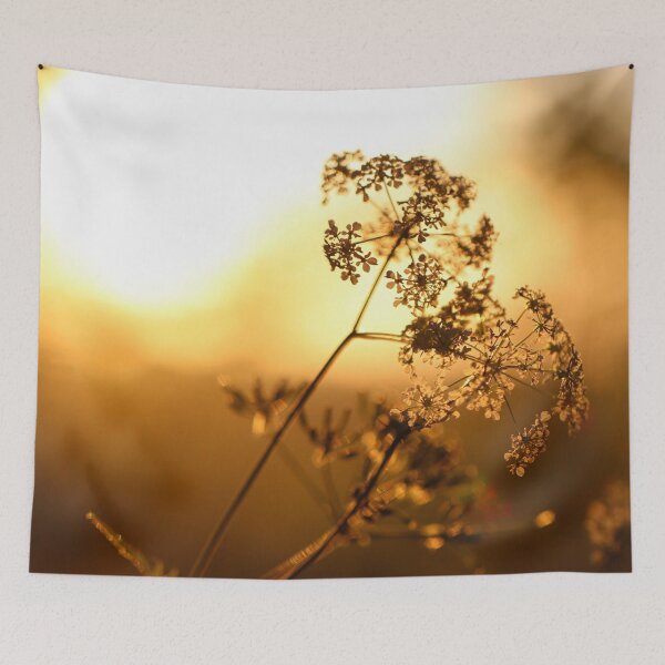 Item preview, Cow Parsley at Sunset designed and sold by cuprum.