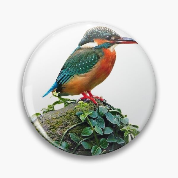 Item preview, The red-bellied tit (scientific name: Sittiparus varius) is an animal of the genus Chickadee designed and sold by zenger2021.