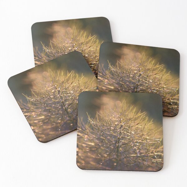 Item preview, Fennel at Sunset designed and sold by cuprum.