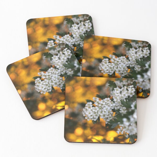 Item preview, Hawthorn at Sunset designed and sold by cuprum.