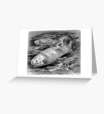 Needing Calm Greeting Card