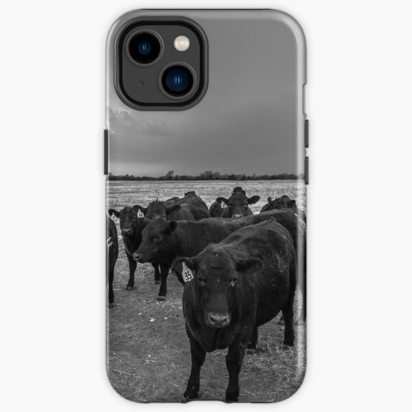 Hanging Out - Angus Cows Gather as Storm Brews in Kansas iPhone Tough Case