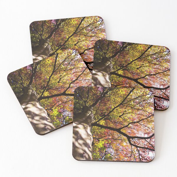 Item preview, The Old Giant Tree designed and sold by Marc Garrido Clotet.
