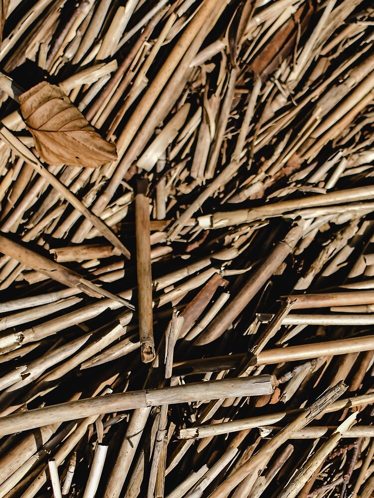 Wood Sticks by Claudiocmb