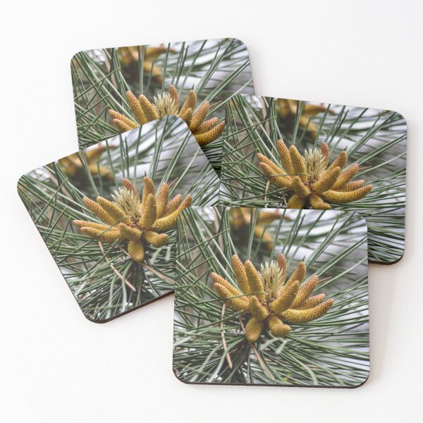 Item preview, Baby Pine Cones designed and sold by SRosuphotos.