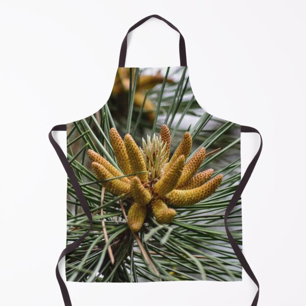 Item preview, Baby Pine Cones designed and sold by SRosuphotos.
