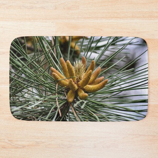 Item preview, Baby Pine Cones designed and sold by SRosuphotos.