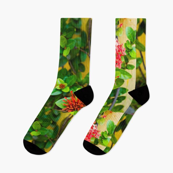 Item preview, Flower Wall [ Print & iPad / iPod / iPhone Case ] designed and sold by Mauricio Santana.