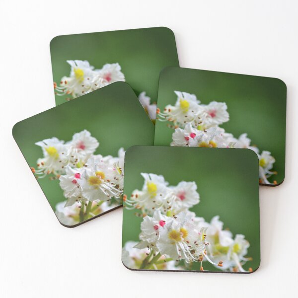 Item preview, Chestnut Spring designed and sold by SRosuphotos.