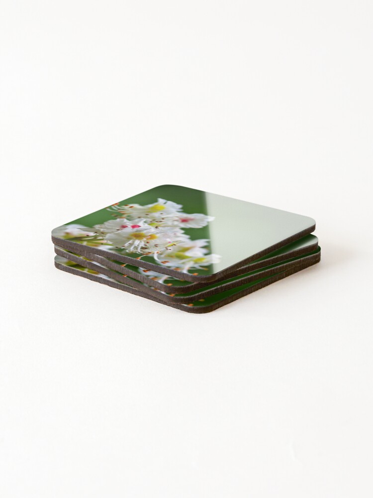 Thumbnail 4 of 5, Coasters (Set of 4), Chestnut Spring designed and sold by srosu.