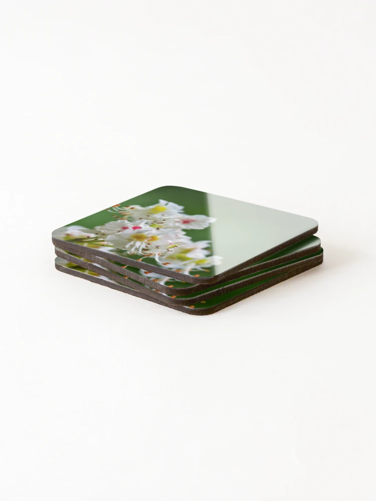 Thumbnail 4 of 5, Coasters (Set of 4), Chestnut Spring designed and sold by SRosuphotos.