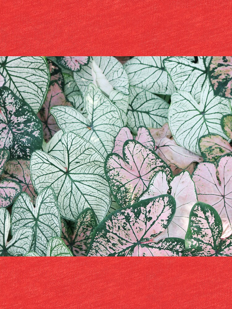 Thumbnail 6 of 6, Tri-blend T-Shirt, Floral Multipurpose designed and sold by Claudiocmb.